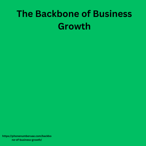 The Backbone of Business Growth